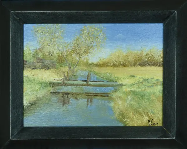 River Ouzel Sketch Series #6