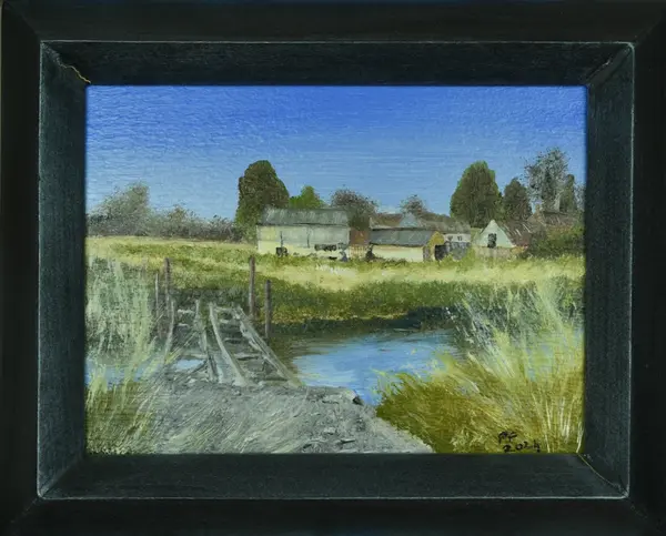 River Ouzel Sketch Series #7